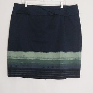 Ann Taylor Est.1954 Skirt SZ-18